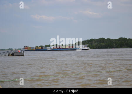 Kalkar am Niederrhein bei leichtem Hochwasser, 2013 Stockfoto