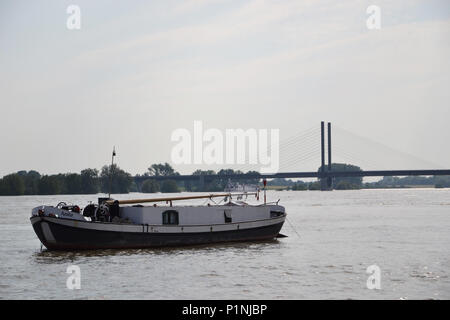 Kalkar am Niederrhein bei leichtem Hochwasser, 2013 Stockfoto