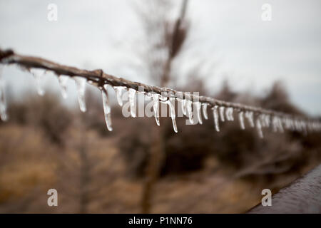 Leitung von Eiszapfen hängen von einem Draht auf einem ländlichen Zaun in der Nähe zu rückläufigen Anzeigen konzeptionelle des Winters und der Jahreszeiten Stockfoto