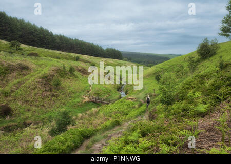 Blick auf goyt die MOSS-Tal in einer schönen Landschaft in der Nähe von Buxton in Peak District Stockfoto