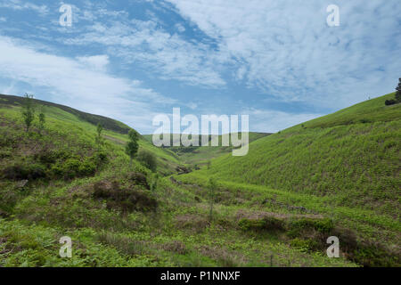 Blick auf goyt die MOSS-Tal in einer schönen Landschaft in der Nähe von Buxton in Peak District Stockfoto