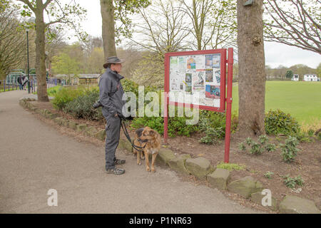 Ein männlicher Hund Walker ist eine touristische noticeboard in Roberts Park, Saltaire. Stockfoto