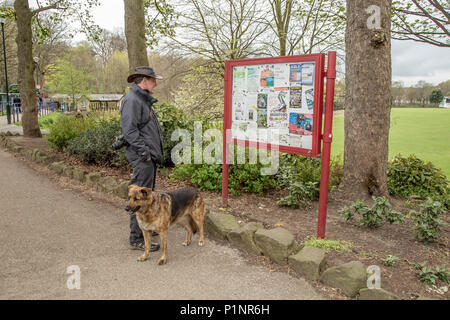 Ein männlicher Hund Walker ist eine touristische noticeboard in Roberts Park, Saltaire. Stockfoto