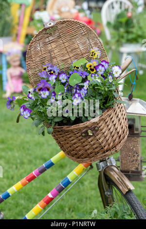 Bunte Fahrrad Weidenkorb Blume Anzeige an eine Blume zeigen. Großbritannien Stockfoto