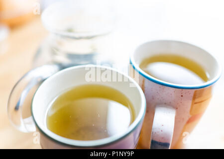 Nahaufnahme von zwei Tassen oder Becher mit grüner Oolong Tee oder Kräutertee, jiaogulan gynostemma auf Holztisch mit Teekanne Stockfoto