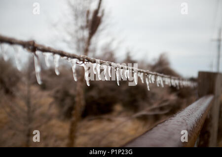 Eiszapfen hängen von einem Strang der Kabel oder Seil in einer kalten, grauen Winter Tag in der Natur Stockfoto