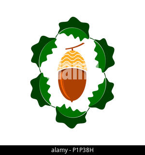 Reif Acorn Symbol isoliert auf weißem Hintergrund. Herbst Eiche Mutter und Blätter Logo Stockfoto
