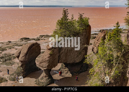 Hopewell Rocks Park, Hopewell Cape, NB, Canada Stockfoto