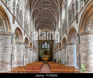 Interieur von Hereford Cathedral, Hereford, Herefordshire, England, Großbritannien Stockfoto