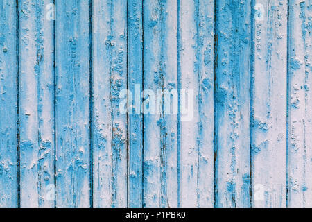 Textur von einem Baum in blau und weiß bemalt, close-up Stockfoto
