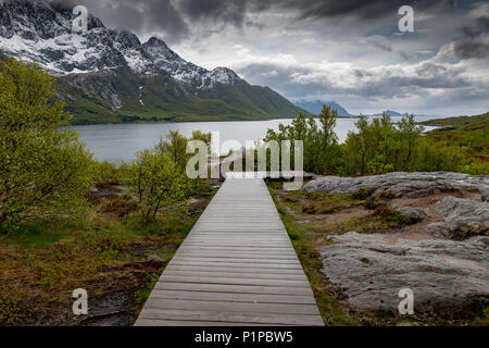 Holzterrasse die Landschaft bewahren, Lofoten, Norwegen Stockfoto