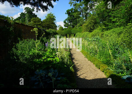 Box Formgehölze in Kelmarsh Hall Stockfoto