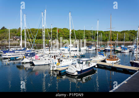 Yachten im Hafen, Stornoway Stornoway auf der Insel Lewis, Äußere Hebriden, Schottland, Vereinigtes Königreich günstig Stockfoto