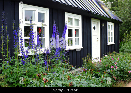 Außenansicht der blühenden Blumengärten und Eyrarlandsstofa Haus, Akureyri Botanischer Garten, North Island, Island Stockfoto