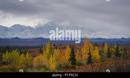 Herbstliche Denali National Park Landschaft in bewölkten Tag Stockfoto