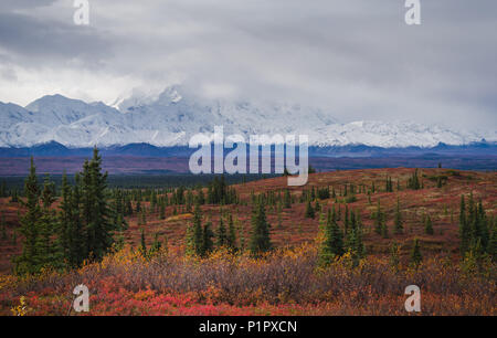 Herbstliche Denali National Park Landschaft in bewölkten Tag Stockfoto