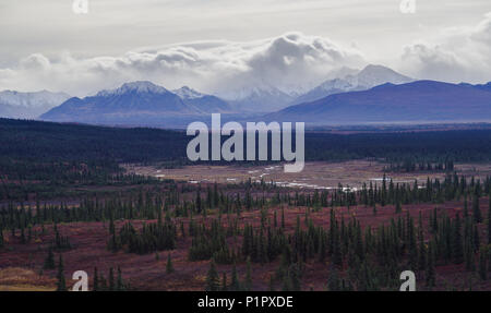 Herbstliche Denali National Park Landschaft in bewölkten Tag Stockfoto