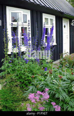 Außenansicht der blühenden Blumengärten und Eyrarlandsstofa Haus, Akureyri Botanischer Garten, North Island, Island Stockfoto