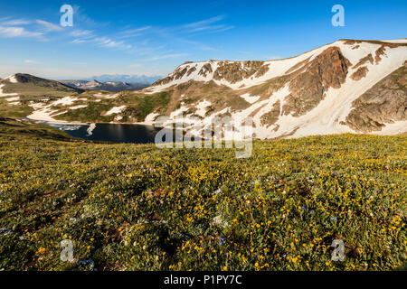 Blick von der Beartooth Highway; Cody, Wyoming, Vereinigte Staaten von Amerika Stockfoto