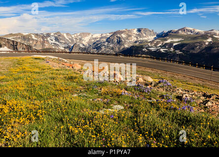 Blick von der Beartooth Highway; Cody, Wyoming, Vereinigte Staaten von Amerika Stockfoto