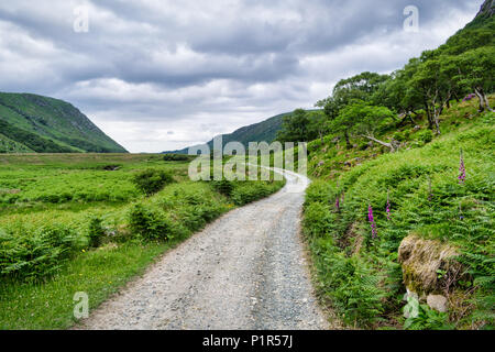 Dies ist eine unbefestigte Straße, schlängelt sich durch eine üppig grüne Tal. Das Foto wurde im Glenveagh National Park in Donegal Irland Stockfoto