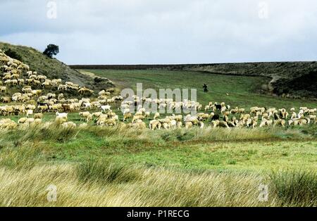 In der Nähe von Berdún, (Sant James Pilgerweg nach Santiago). Stockfoto