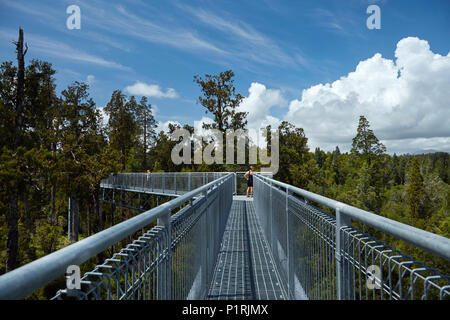 Touristen auf Treetop Walk, in der Nähe von Hokitika, West Coast, South Island, Neuseeland (Model Released) Stockfoto