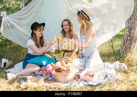 Gruppe von Mädchen Freunde machen ein Picknick im Freien. Sie haben Spaß und trinken Cocktails, klirren Gläser. Danke. Stockfoto