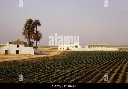 Bauernhaus neben Alcolea del Río; Becken des Guadalquivir. Stockfoto