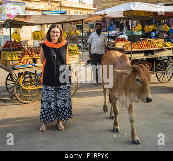 Eine weibliche Touristische steht auf einer Straße mit einer Kuh und Essen; Anbieter von Jaisalmer, Rajasthan, Indien Stockfoto