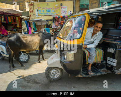 Auto Rikscha Fahrer in seiner Rikscha mit einer Kuh auf der Straße Posing, Jaisalmer, Rajasthan, Indien Stockfoto