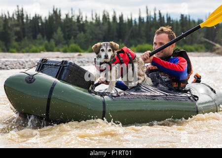 Mann mit seinem Hund in einem Pack floss in Jarvis Creek, Interior Alaska; Alaska, Vereinigte Staaten von Amerika Stockfoto