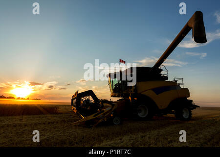 Nahaufnahme von einem Mähdrescher auf einem Feld an der Su mit glühenden Sonne eingestellt und die Schnecke erweiterte kombinieren; Beiseker, Alberta, Kanada Stockfoto