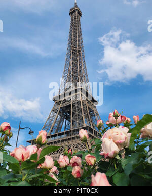 Paris, Frankreich. 27. Mai, 2018. Der Eiffelturm ist im Hintergrund zu sehen, während einige schöne rosa Rosen im Vordergrund zu sehen sind. Credit: Alexander Pohl/Pacific Press/Alamy leben Nachrichten Stockfoto