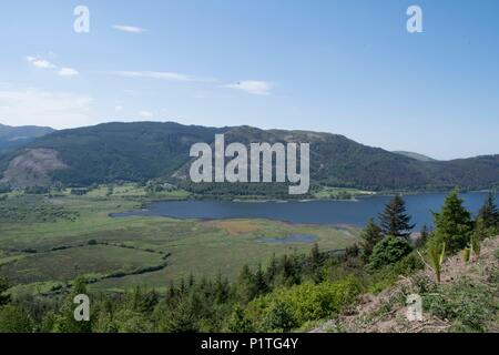 Osprey Blick Punkt, Cumbria Stockfoto