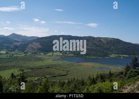 Osprey Blick Punkt, Cumbria Stockfoto