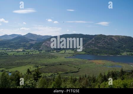 Osprey Blick Punkt, Cumbria Stockfoto