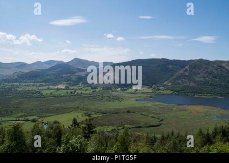 Osprey Blick Punkt, Cumbria Stockfoto