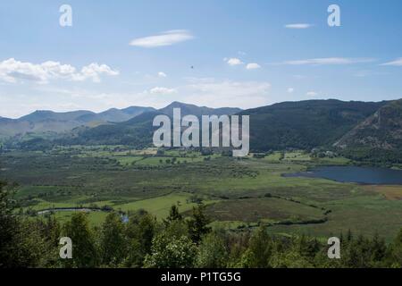 Osprey Blick Punkt, Cumbria Stockfoto