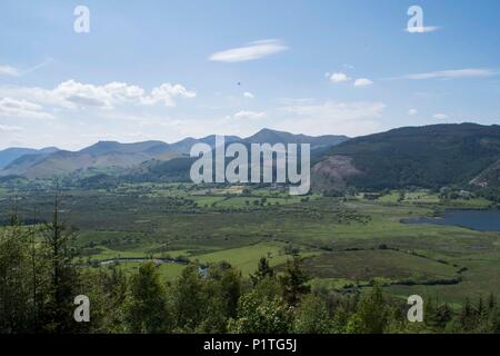 Osprey Blick Punkt, Cumbria Stockfoto