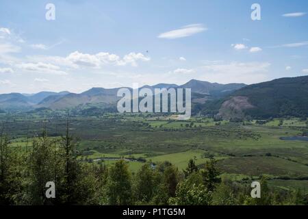 Osprey Blick Punkt, Cumbria Stockfoto