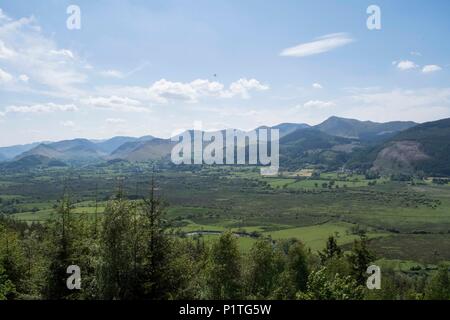 Osprey Blick Punkt, Cumbria Stockfoto