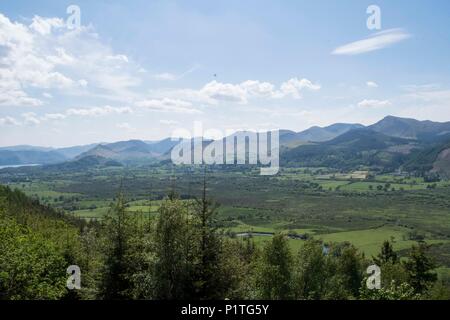 Osprey Blick Punkt, Cumbria Stockfoto