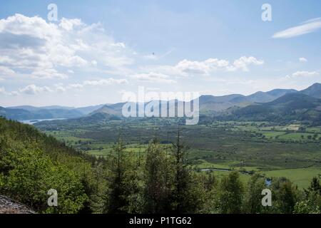 Osprey Blick Punkt, Cumbria Stockfoto