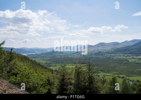 Osprey Blick Punkt, Cumbria Stockfoto