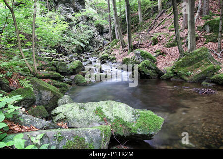 Abstrakte Detail des Wasser über Felsen im Wald fließt Stockfoto