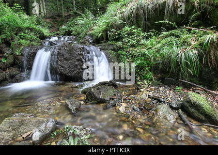 Nyznerov Wasserfälle auf der Siver Bach, Tschechische Republik. Silver Creek Falls, auch Nyznerov Wasserfälle liegt in der Ortschaft obere Skorosice zu 12 hect Stockfoto