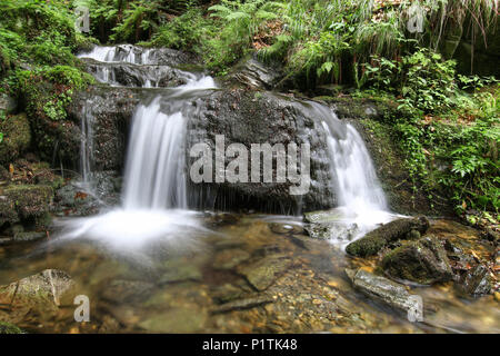 Nyznerov Wasserfälle auf der Siver Bach, Tschechische Republik. Silver Creek Falls, auch Nyznerov Wasserfälle liegt in der Ortschaft obere Skorosice zu 12 hect Stockfoto