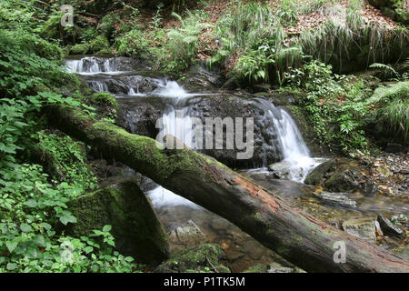 Nyznerov Wasserfälle auf der Siver Bach, Tschechische Republik. Silver Creek Falls, auch Nyznerov Wasserfälle liegt in der Ortschaft obere Skorosice zu 12 hect Stockfoto