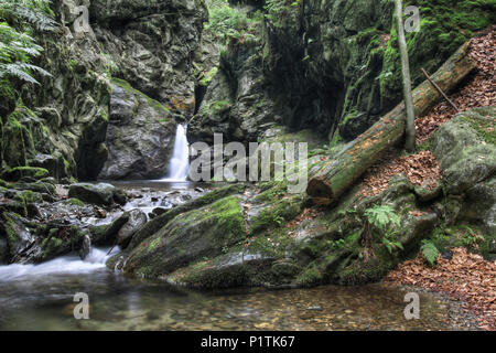 Nyznerov Wasserfälle auf der Siver Bach, Tschechische Republik. Silver Creek Falls, auch Nyznerov Wasserfälle liegt in der Ortschaft obere Skorosice zu 12 hect Stockfoto